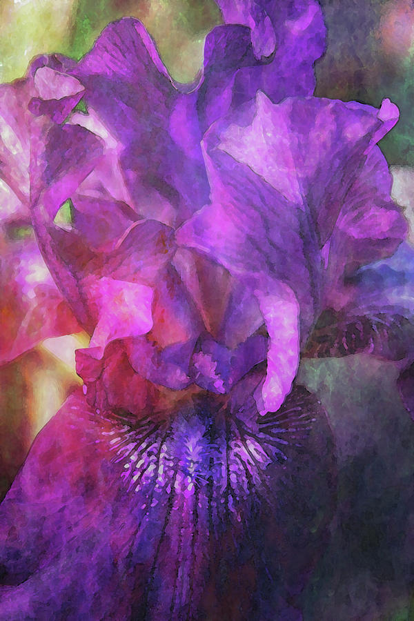 Lost Purple Iris Digital Painting 6147 LDP_2 Photograph by Steven Ward