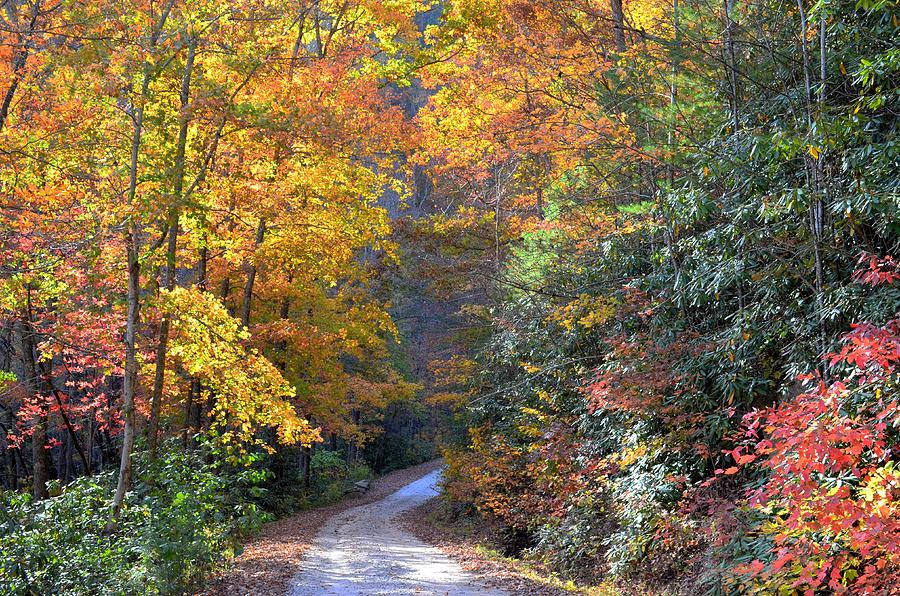 Lost Road Photograph by Bob Jackson - Fine Art America