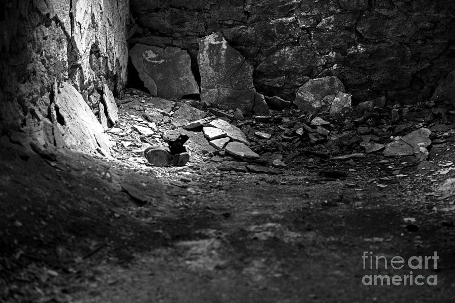 Black And White Photograph - Lost Shoe - black and white  by Paul Ward