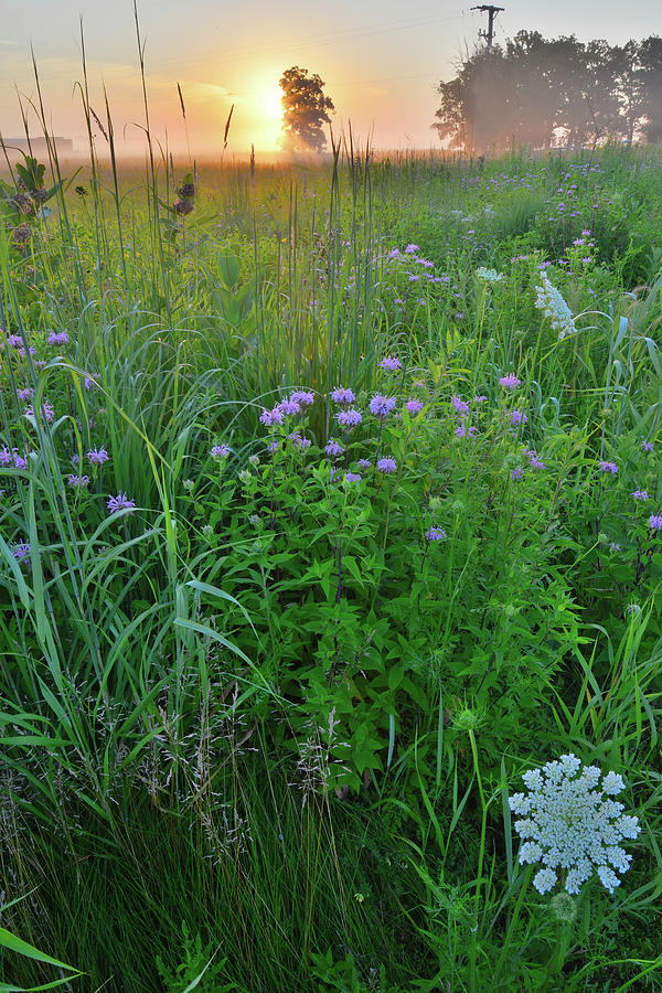 Lost Valley Prairie at Sunrise in Glacial Park Photograph by Ray Mathis