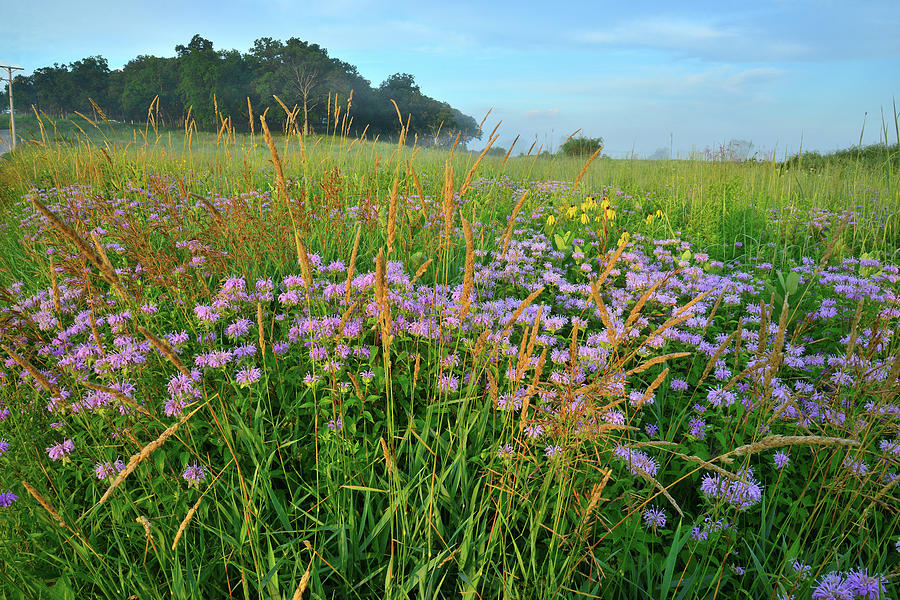 Lost Valley Prairie in Glacial Park Photograph by Ray Mathis