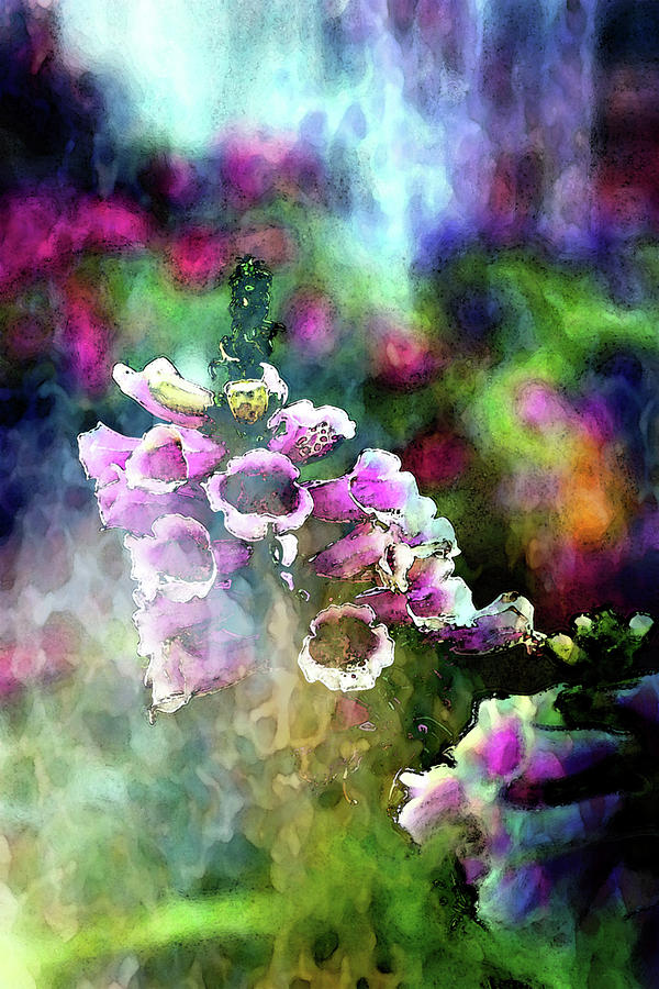 Lost Watercolor Foxglove 1154 LW_2 Photograph by Steven Ward