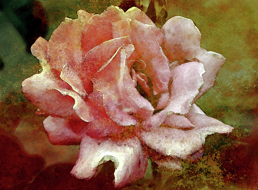 Lost Watercolor Rose 0226 LW_2 Photograph by Steven Ward