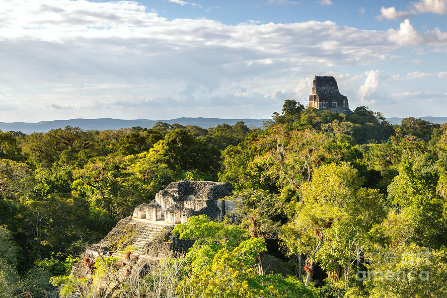 Lost World temple - Tikal - Guatemala Photograph by Matteo Colombo