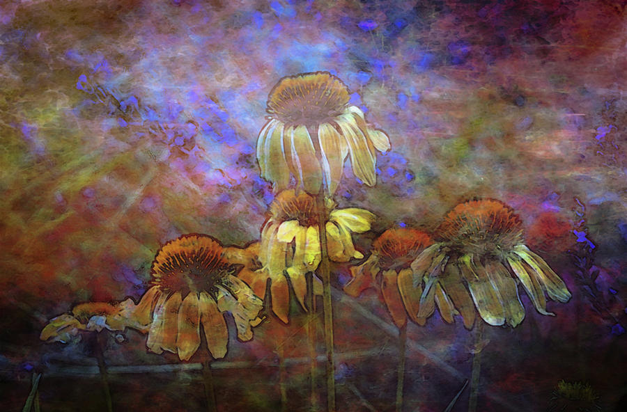 Lost Yellow Coneflowers In The Sun Digital Painting 1180 DP_2 Photograph by Steven Ward