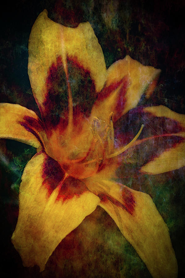 Lost Yellow Flame Dancer Daylily Digital Painting 1276 LDP_2 Photograph by Steven Ward