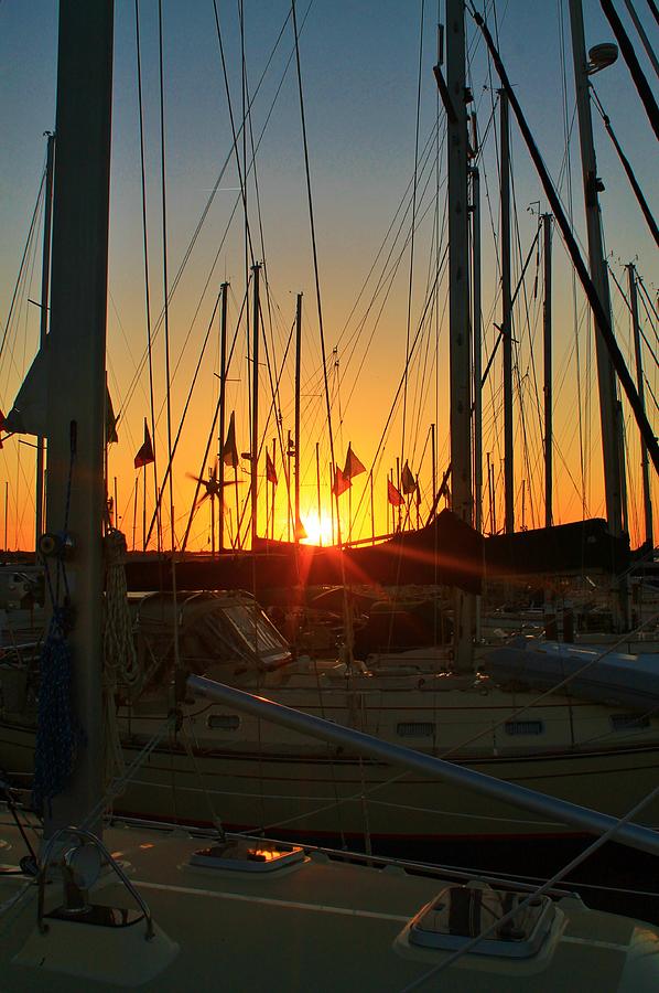Lots of Masts Photograph by Catie Canetti