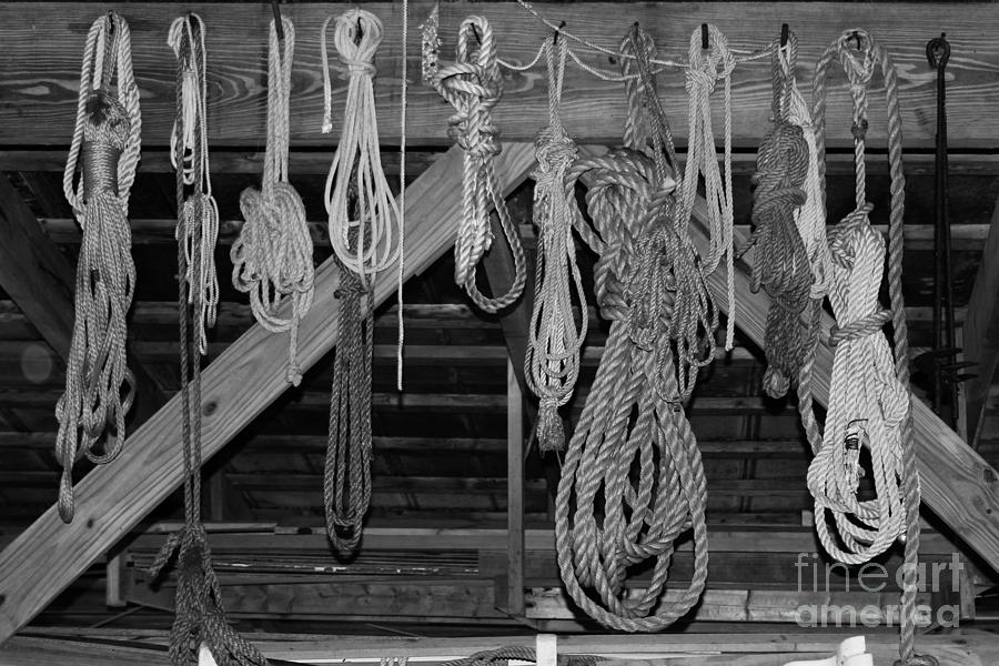 Lots of Rope Photograph by Robert Wilder Jr
