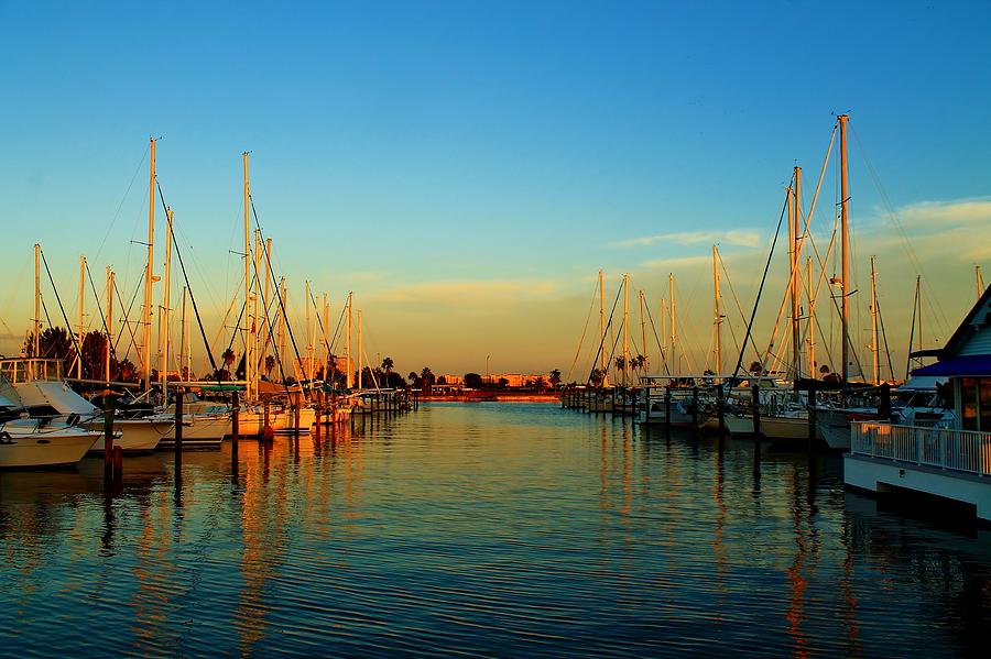 Lots of Sailboats Photograph by Catie Canetti