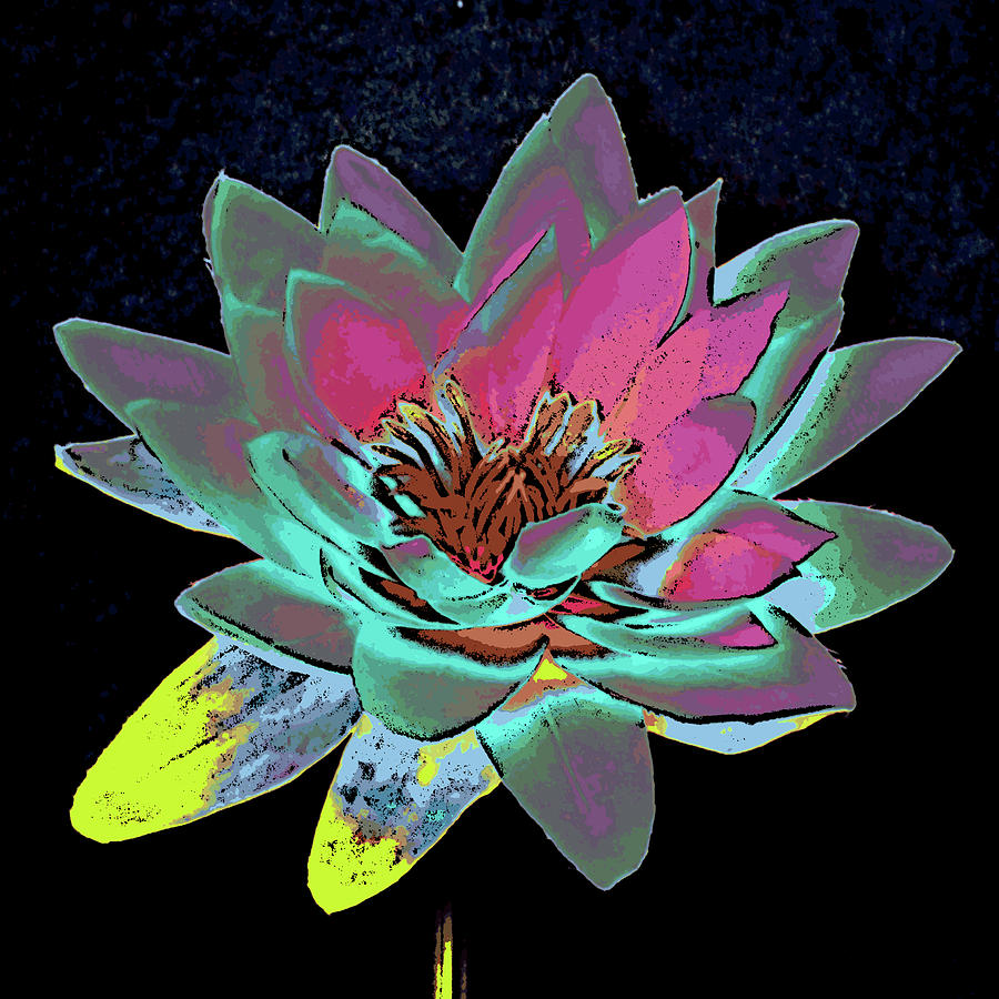 Lotus 2 Mixed Media by Ann Tracy