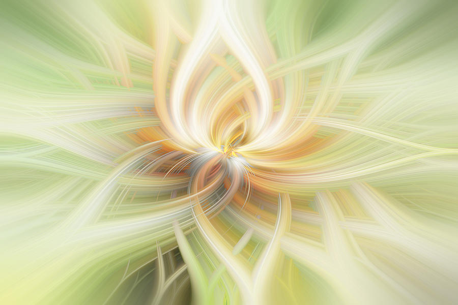 Lotus Abstract Photograph by Terry DeLuco