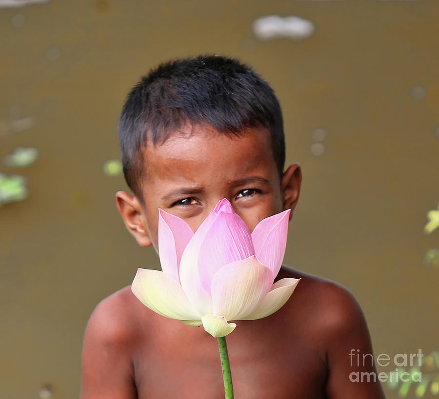Lotus Amazing Boy Photograph by Chuck Kuhn