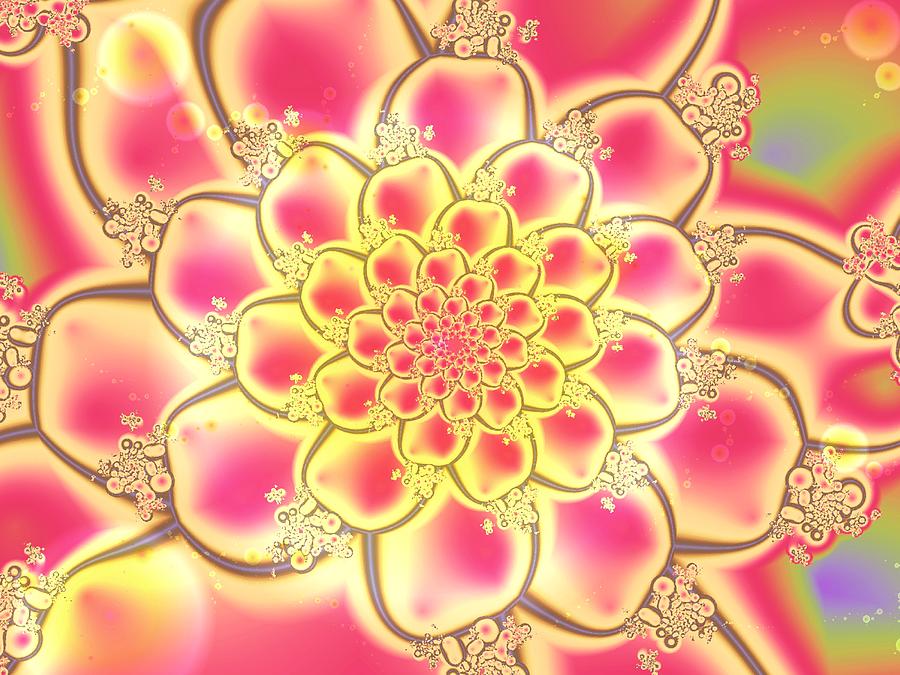 Lotus Digital Art by Anastasiya Malakhova