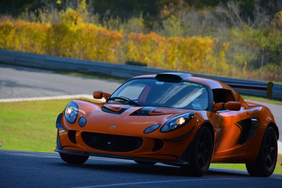 Lotus at Lime Rock Photograph by Mike Martin