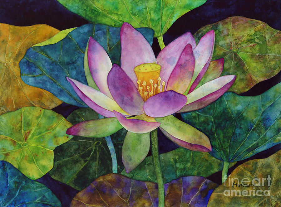 Watercolor Painting - Lotus Bloom by Hailey E Herrera Watercolor Painting - Lotus Bloom by Hailey E Herrera