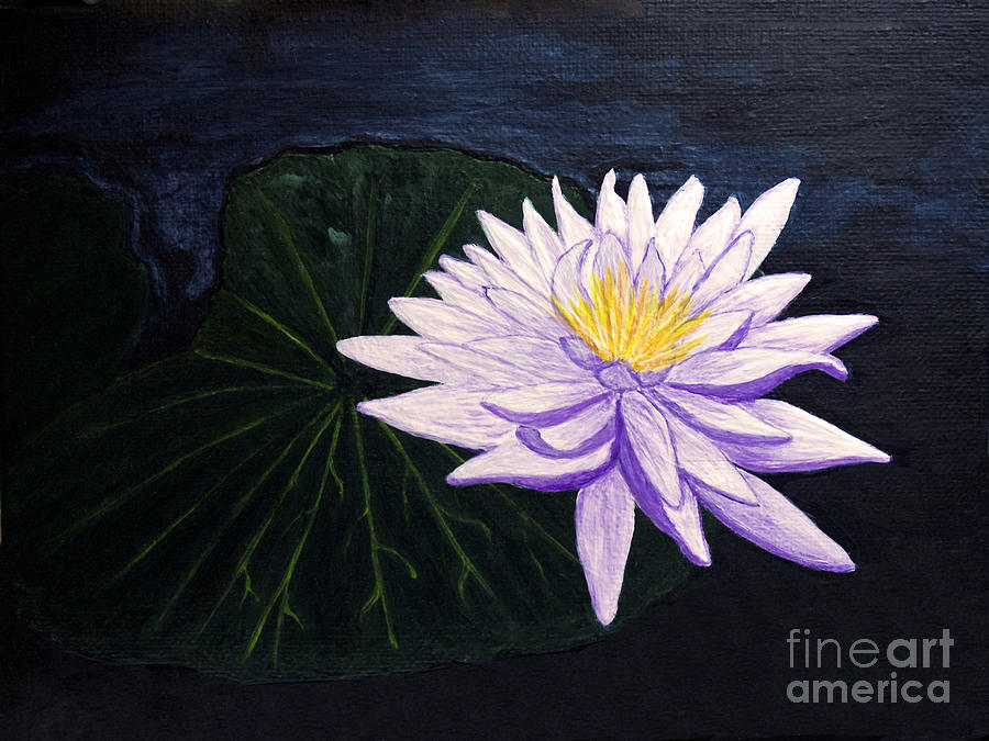 Lotus Blossom at Night Painting by Patricia Griffin Brett