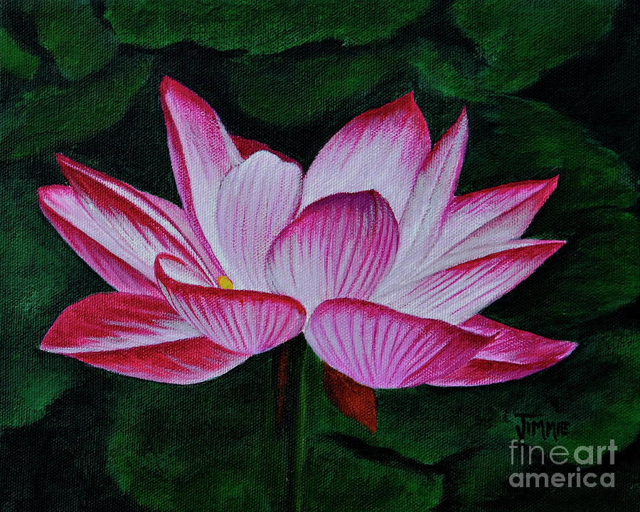 Lotus Blossom Painting by Jimmie Bartlett