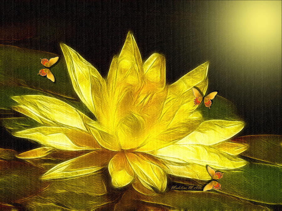 Lotus Blossom Digital Art by Madeline  Allen - SmudgeArt