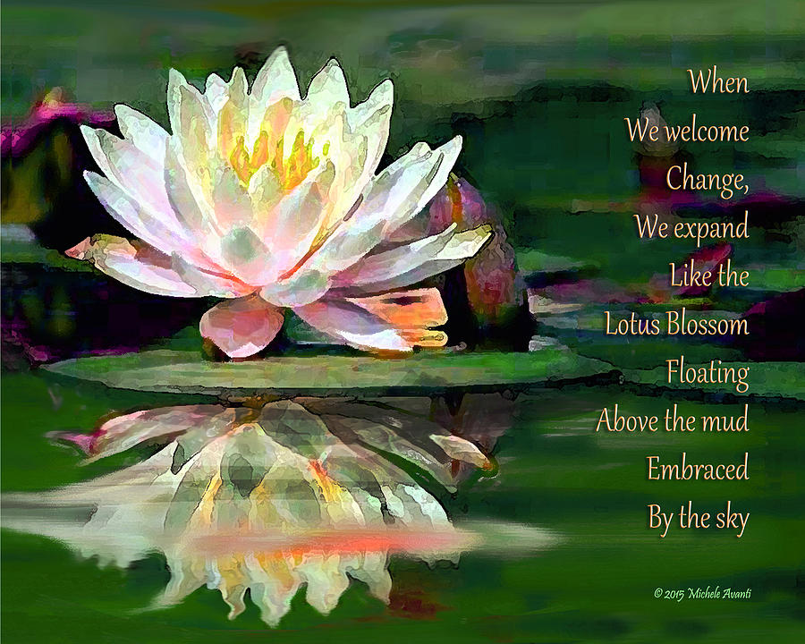 Lotus Blossom Wisdom Mixed Media by Michele Avanti