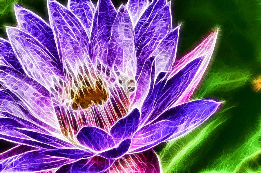 Lotus Close-up Painting by Jeelan Clark