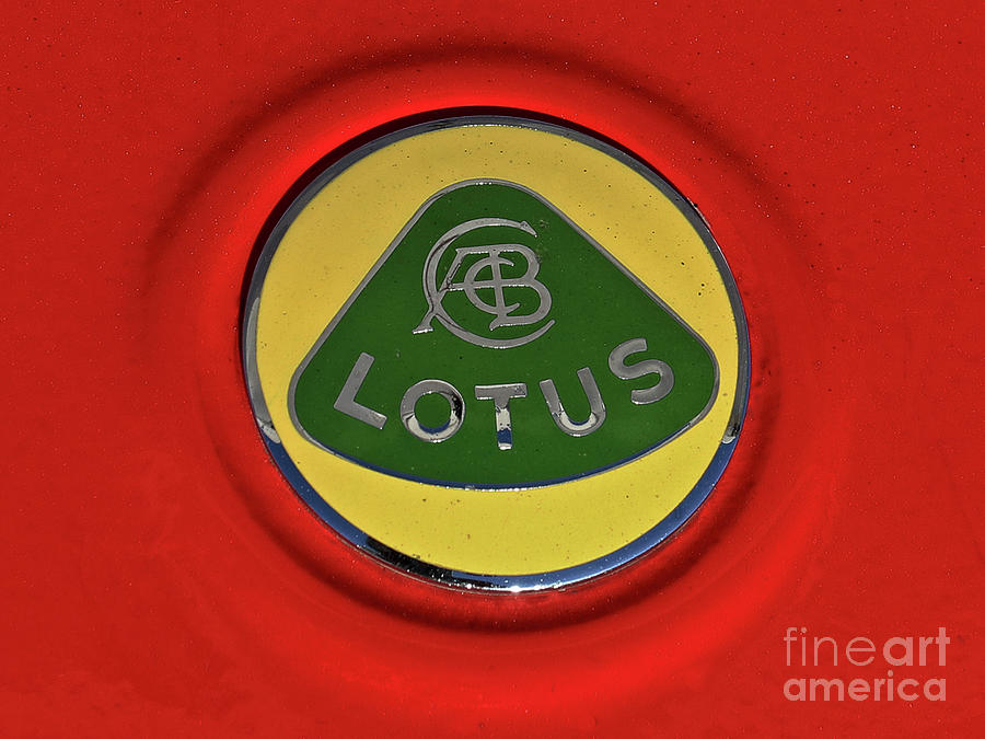 Lotus emblem Photograph by Tom Griffithe