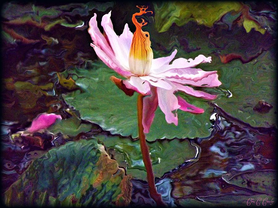 Lily Photograph - Lotus Fire by Chris Crowley