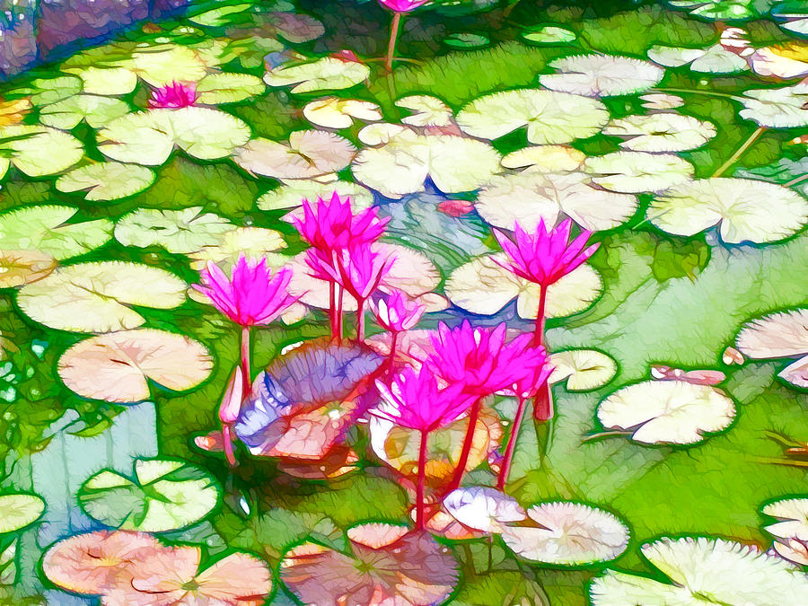 Garden Painting - Lotus flower 3 by Jeelan Clark