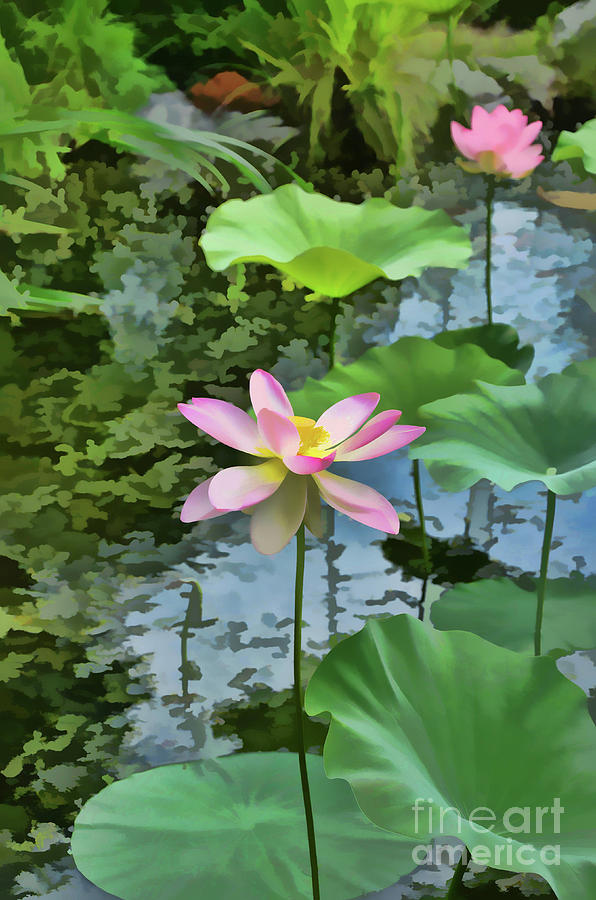 Lotus Flower 4 Painting by Jeelan Clark