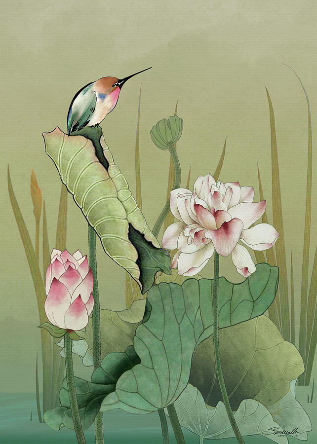 Lotus Flower and Hummingbird Digital Art by M Spadecaller