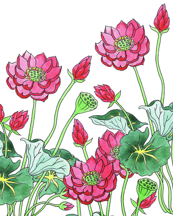 Lotus Flower Garden Watercolor Botanical Painting