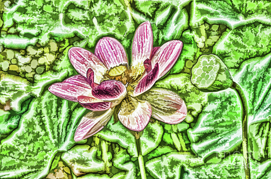 Lotus Flower In The Pond 4 Painting by Jeelan Clark