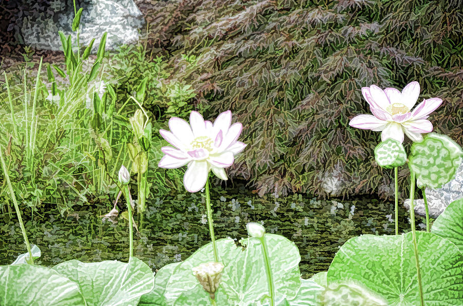 Lotus flower in the pond 9 Painting by Jeelan Clark