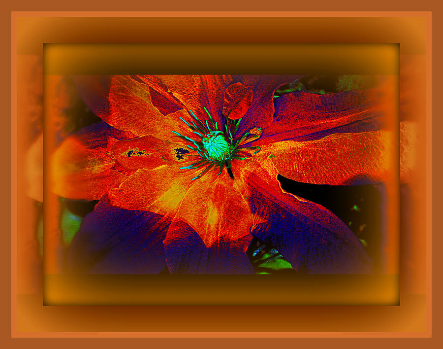 Lotus Flower Digital Art by Leslie Revels