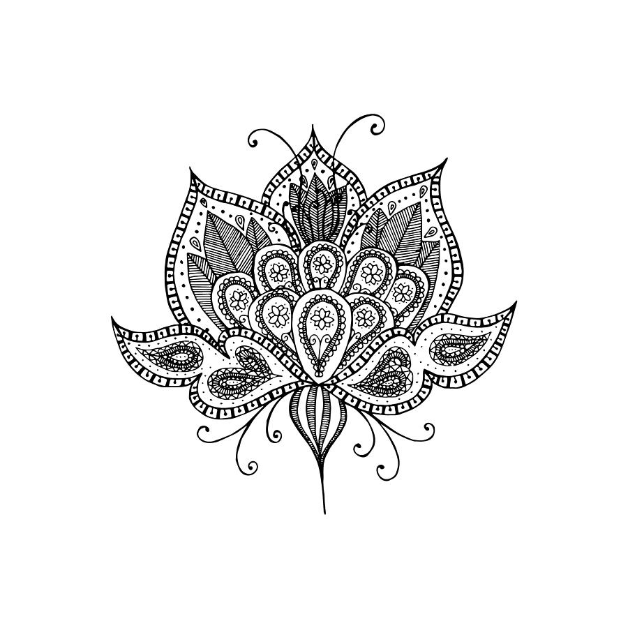 Sketch line drawing of lotus flower Royalty Free Vector