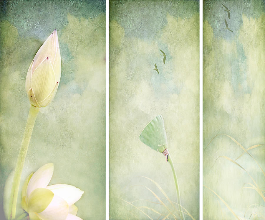 Lotus Garden Digital Art by Margaret Hormann Bfa