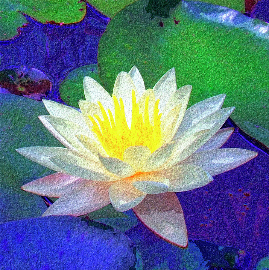 Lotus Grace Painting by Dominic Piperata