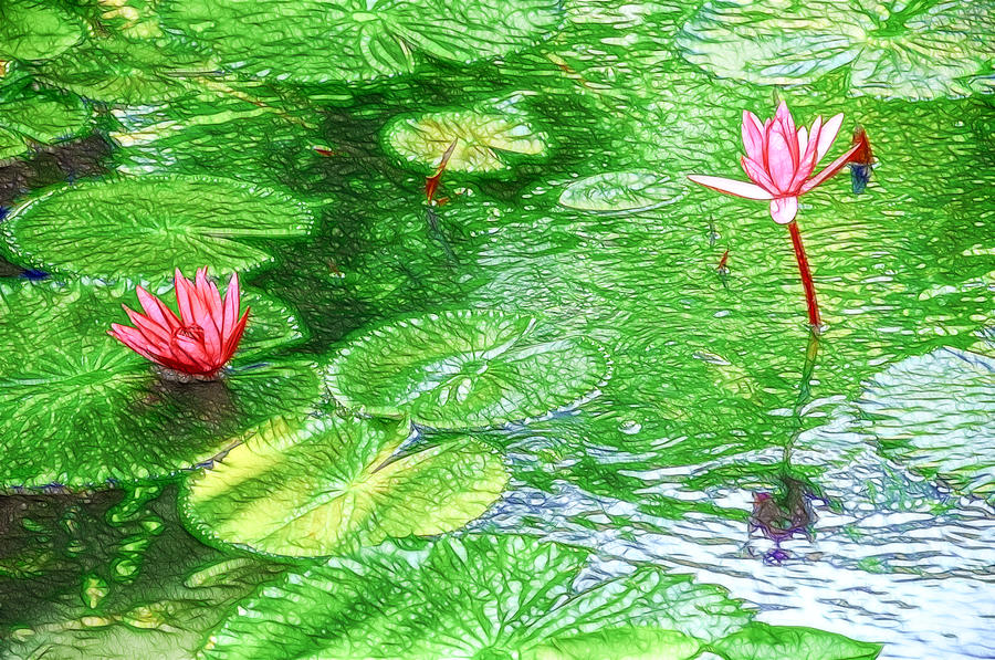 Lily Painting - Lotus In The Pond 2 by Jeelan Clark