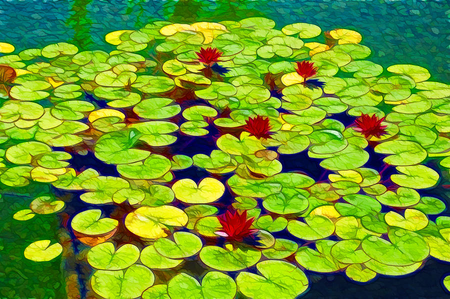 Lotus in the pond Painting by Jeelan Clark