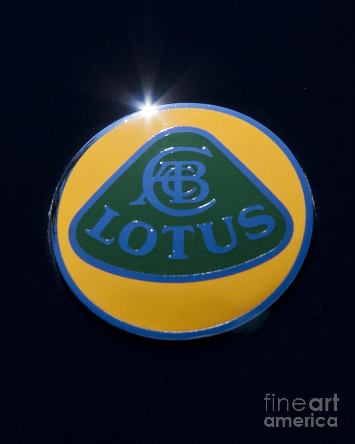 Lotus by John Zawacki Lotus by John Zawacki