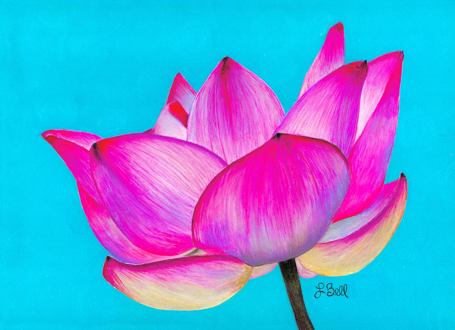Lotus  Painting by Laura Bell