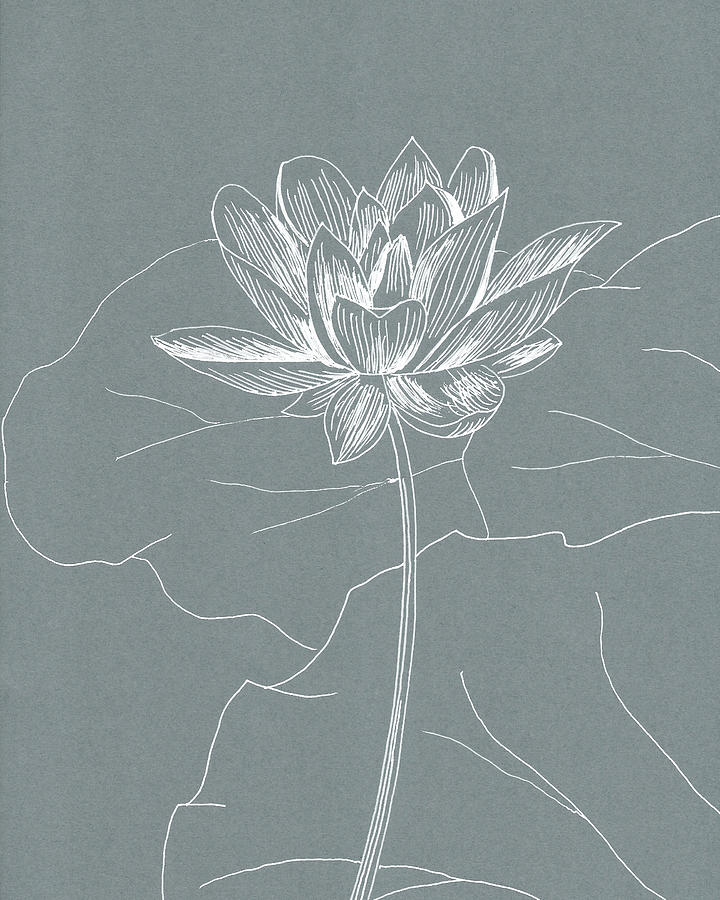 Lotus Drawing by Masha Batkova