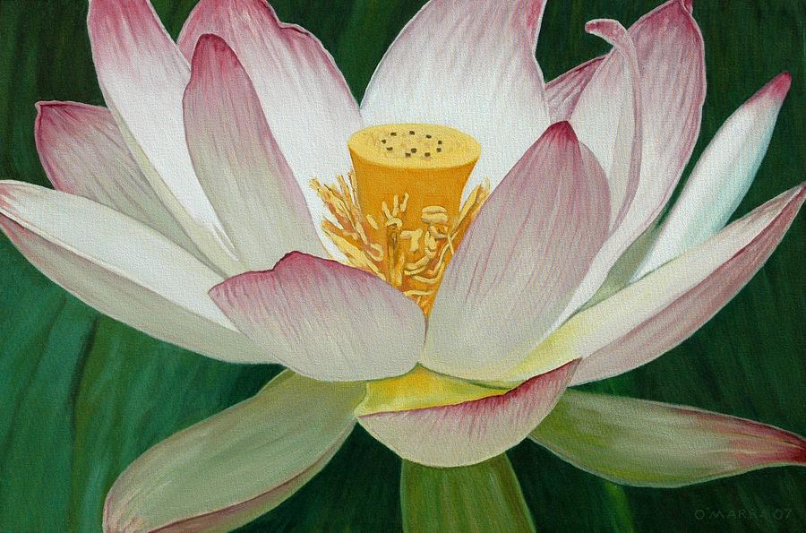 Flowers Still Life Painting - Lotus of Awakening by Allan OMarra