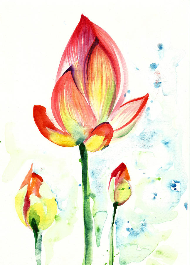 Lotus Opening Flower with Buds Painting by Tiberiu Soos