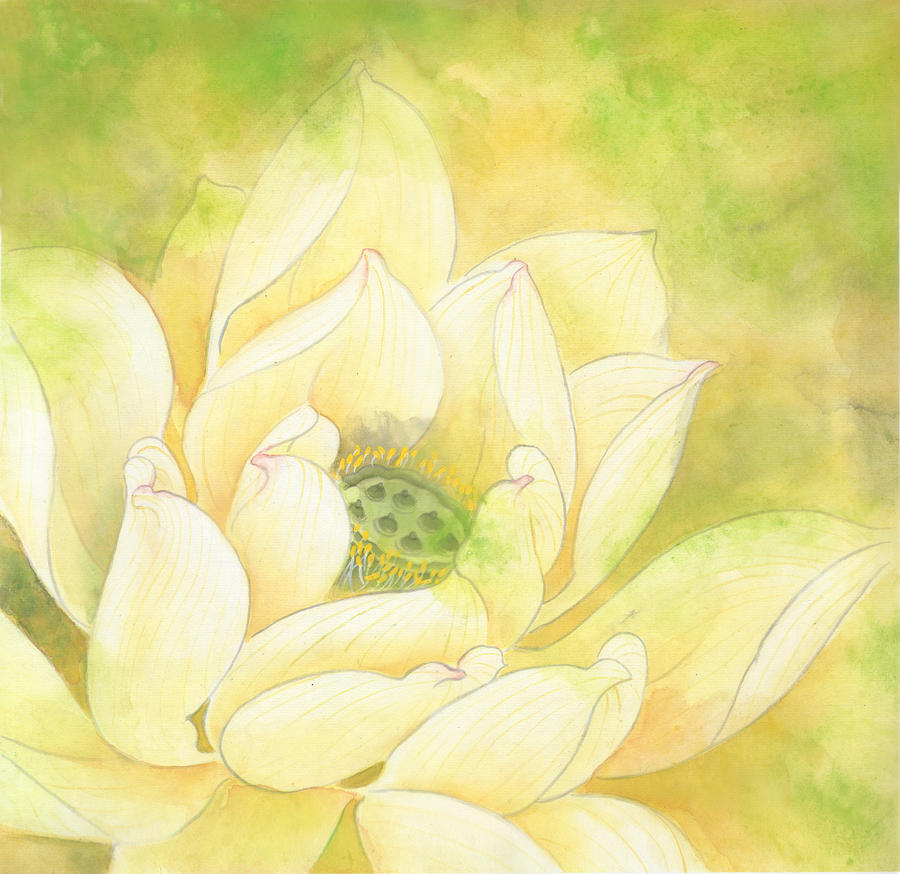 lotus set NO.1 Painting by Tina Zhou