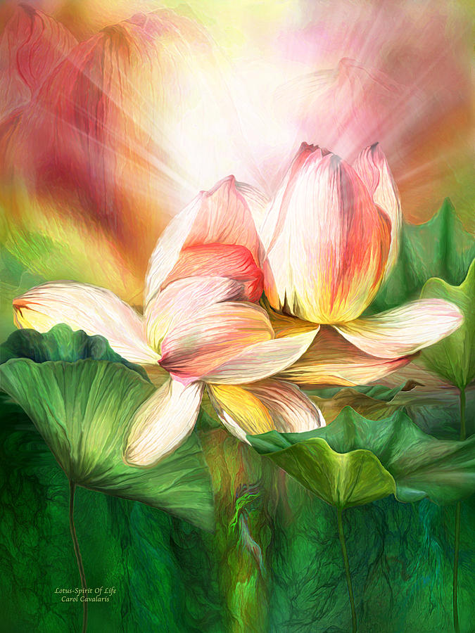 Lotus - Spirit Of Life Mixed Media by Carol Cavalaris