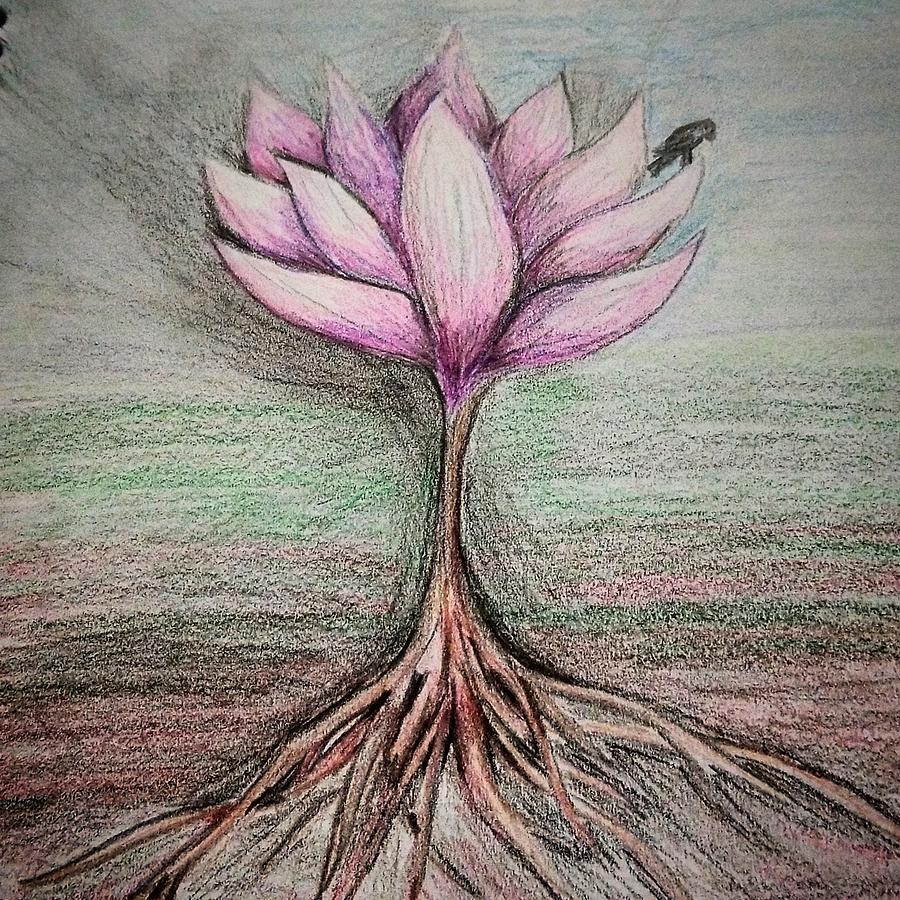 Lotus Tree Drawing by Monica Freeland - Pixels