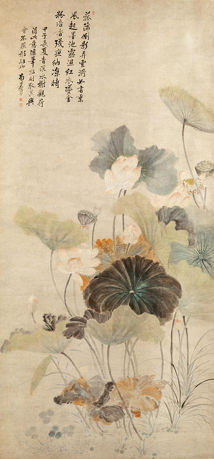 Lotuses on a Summer Evening Drawing by Yun Shouping