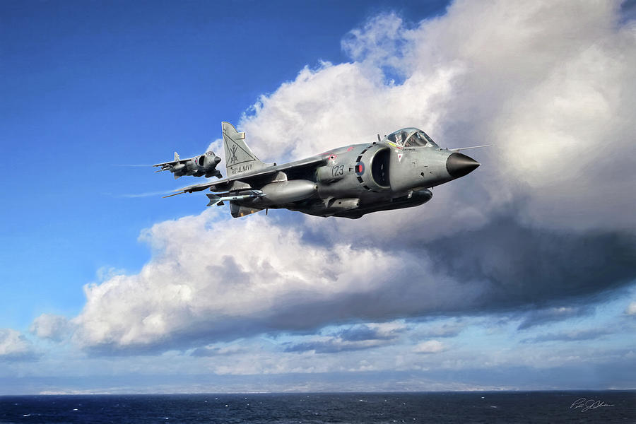 Loud And Proud Sea Harriers Digital Art by Peter Chilelli