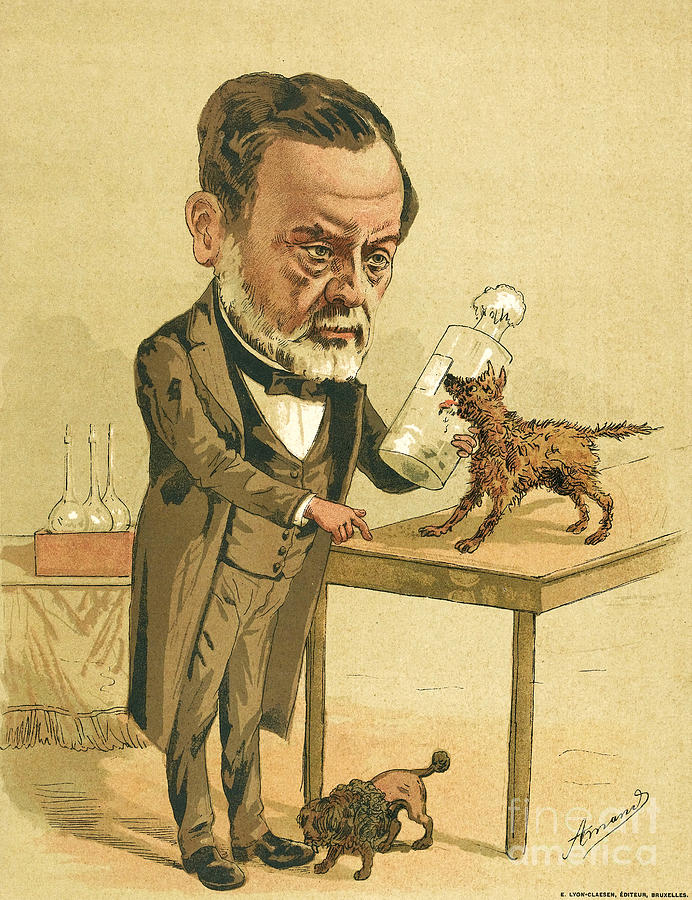 Louis Pasteur With Rabid Dog, 1880 Photograph by Wellcome Images