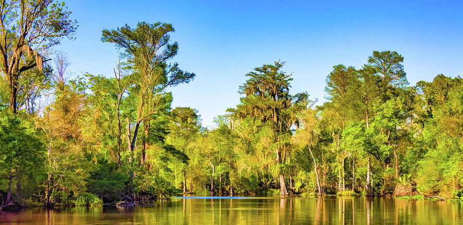 Nature Photograph - Louisiana Bayou 5 - Paint by Steve Harrington